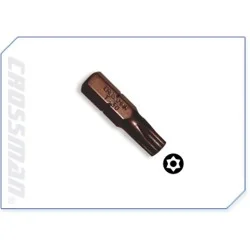 Punta Torx C/Guia T-09 1/4...